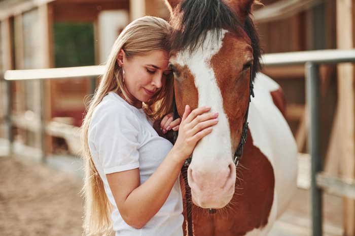 HERO Horse Rescue in Winston Salem